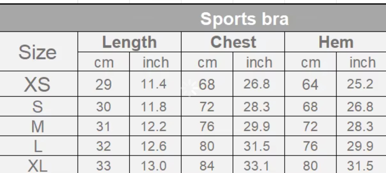 Hi Impact Sports Bra